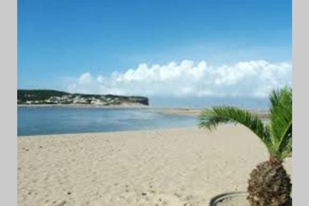 Blue Lagoon - Condominio Fechado Lagoa De Obidos フォス・ド・アレーリョ エクステリア 写真